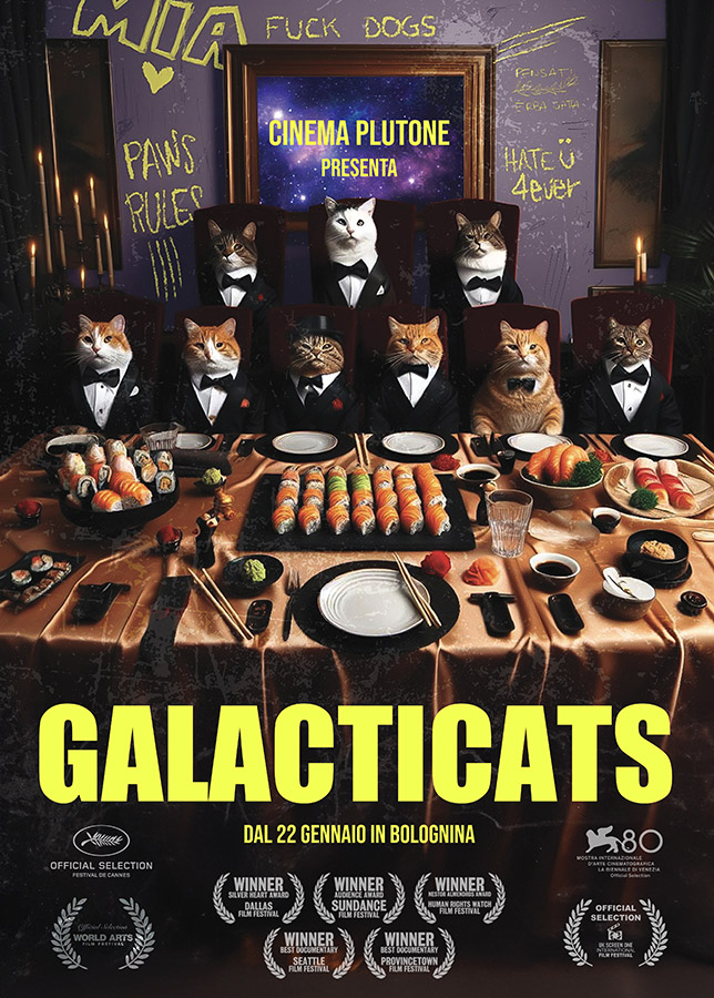 Locandina di Galacticats